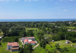 Tomi Guesthouse